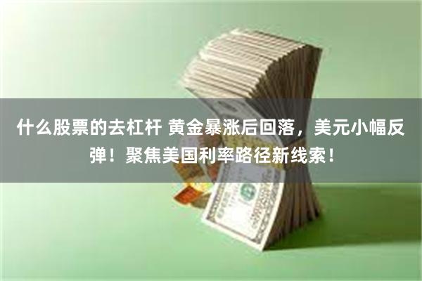 什么股票的去杠杆 黄金暴涨后回落，美元小幅反弹！聚焦美国利率路径新线索！