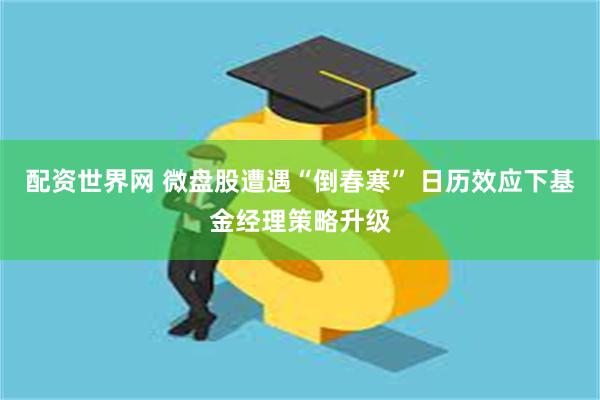 配资世界网 微盘股遭遇“倒春寒” 日历效应下基金经理策略升级