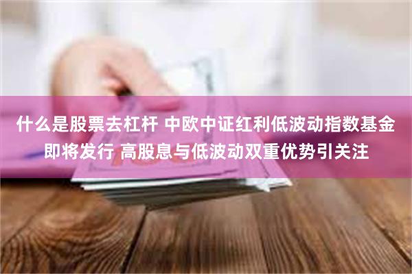 什么是股票去杠杆 中欧中证红利低波动指数基金即将发行 高股息与低波动双重优势引关注