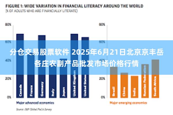 分仓交易股票软件 2025年6月21日北京京丰岳各庄农副产品批发市场价格行情